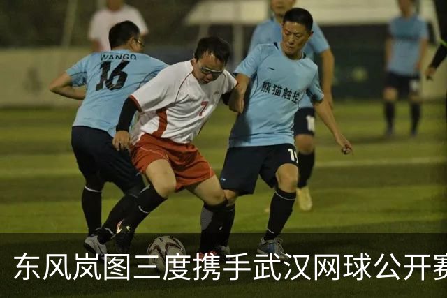 东风岚图三度携手武汉网球公开赛 引领智造荣耀与顶级赛事的结合