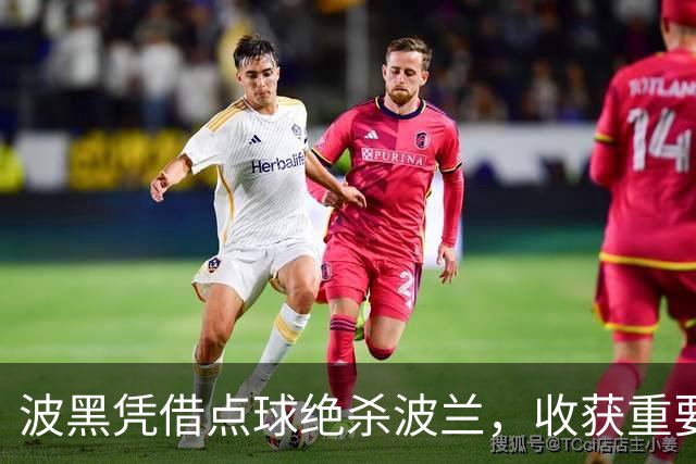 波黑凭借点球绝杀波兰，收获重要胜利